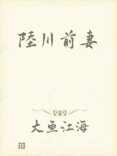 陆川前妻