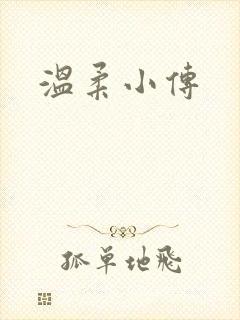 温柔小传