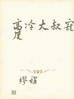 高冷大叔宠妻无度