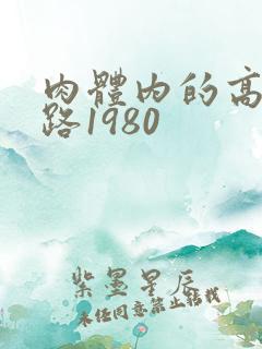 肉体内的高速公路1980