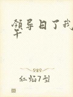 领导日了我一下午