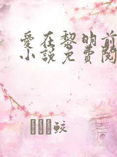 爱在黎明前降落小说免费阅读