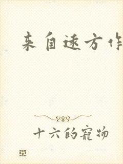 来自远方作品集