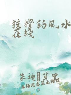 狡猾的风水相师在线