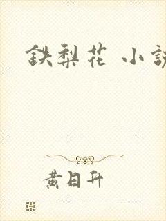 铁梨花 小说