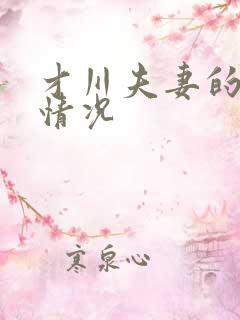 才川夫妻的恋爱情况