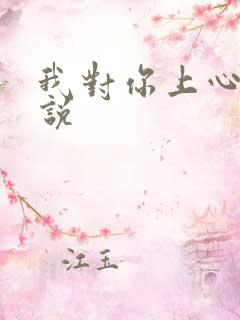 我对你上心了小说
