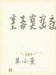 重生霸宠之摄政王爷太凶猛