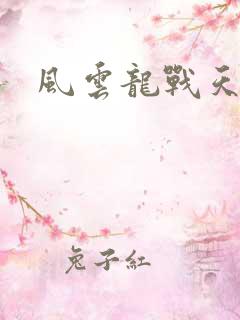 风云龙战天下