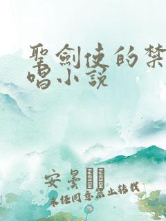 圣剑使的禁咒咏唱小说