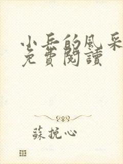 小兵的风采小说免费阅读