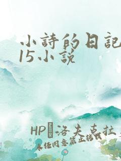 小诗的日记1一15小说