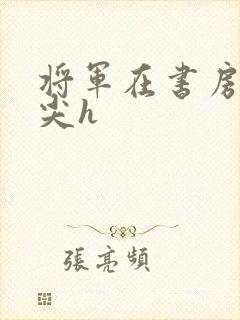 将军在书房含乳尖h