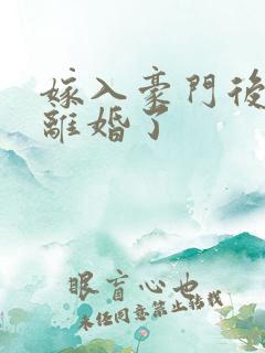 嫁入豪门后我又离婚了