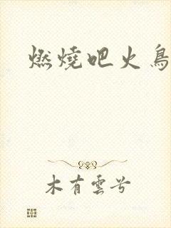 燃烧吧火鸟小说