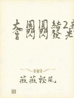 大团圆结2亲情会闪闪发光