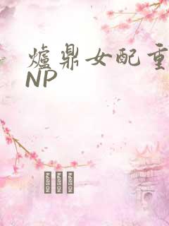 炉鼎女配重生之NP