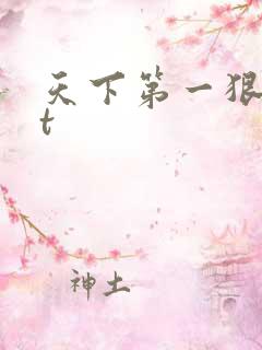 天下第一狠txt
