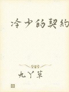 冷少的契约囚奴