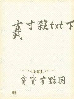 方寸杀txt下载