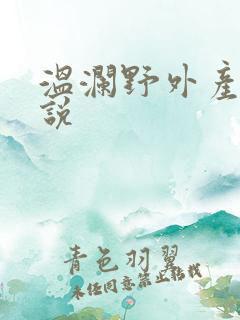 温澜野外产子小说