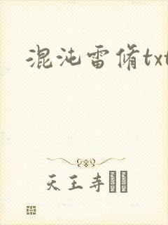 混沌雷修txt