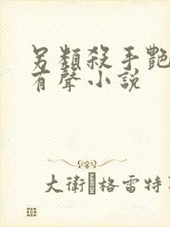 另类杀手艳福星有声小说