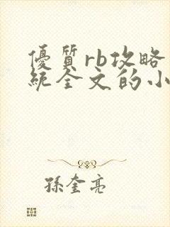 优质rb攻略系统全文的小说