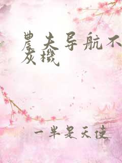 农夫导航不要打灰机