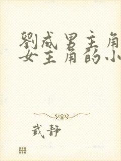 刘成男主角刘雪女主角的小说