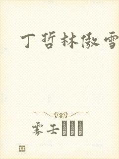丁哲林傲雪小说