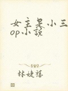 女主是小三的pop小说