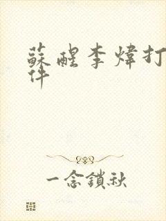 苏醒李炜打架事件