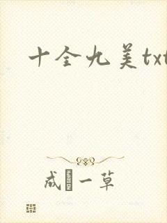 十全九美txt