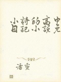 小诗的高中成长日记小说免费阅读