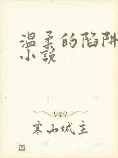 温柔的陷阱周芸小说