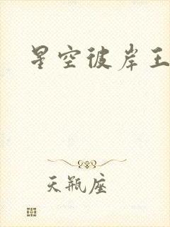 星空彼岸王轩