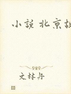 小说 北京故事