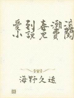 爱到春潮滚滚来小说免费阅读