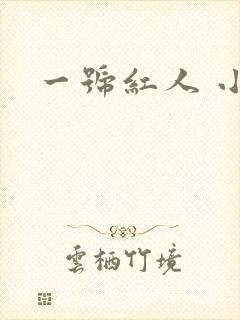 一号红人 小说