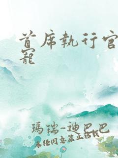 首席执行官的绝宠