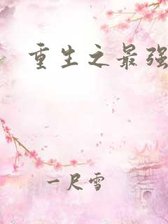 重生之最强法师