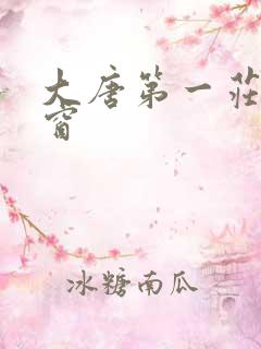 大唐第一庄无弹窗