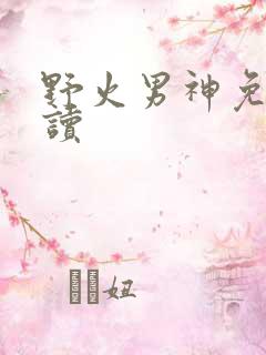 野火男神免费阅读