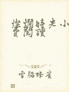 灿烂时光小说免费阅读