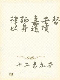 律师妻子替丈夫以身还债