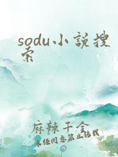 sodu小说搜索