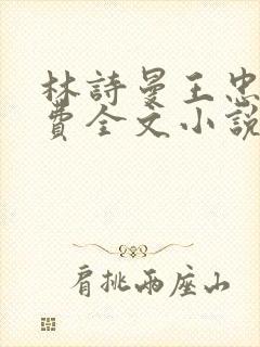 林诗曼王忠文免费全文小说的名称