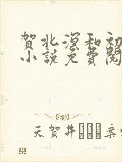 贺北溟和初夏的小说免费阅读无弹窗