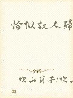 恰似故人归小说